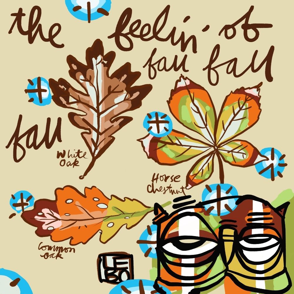 The Feelin' of Fall, Fall, Fall - Lebo Premium Pillow